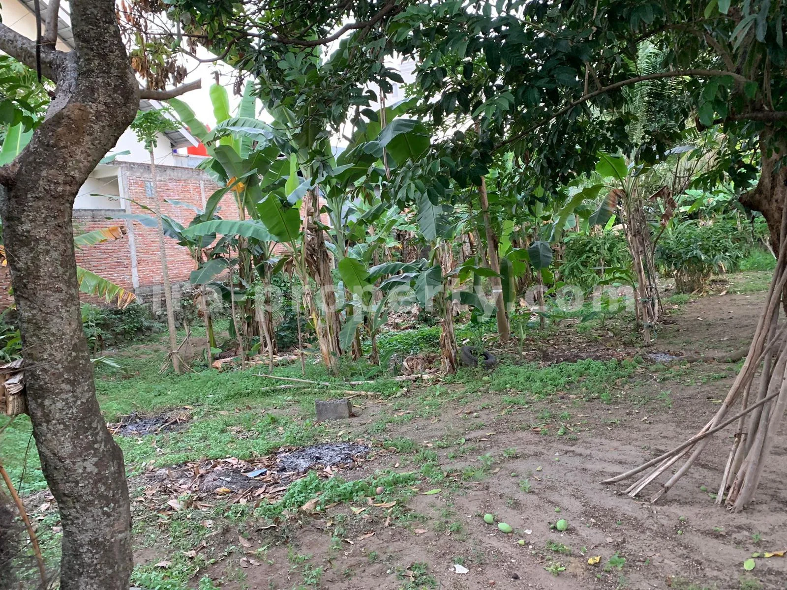 Tanah Strategis Pinggir Jalan di Rembiga, Mataram - 509 - 6