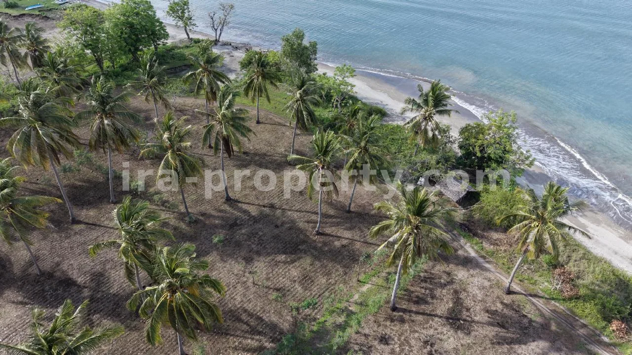 Tanah Tepi Pantai di Batu Putih, Sekotong - 205 - 2