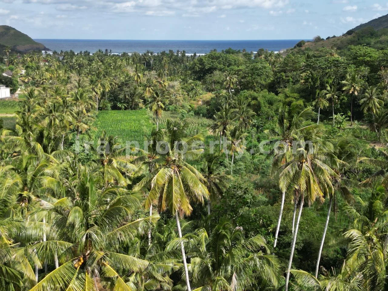 Ocean-View Land Plots in Prabu Areguling near Kuta Mandalika - 537 - 2