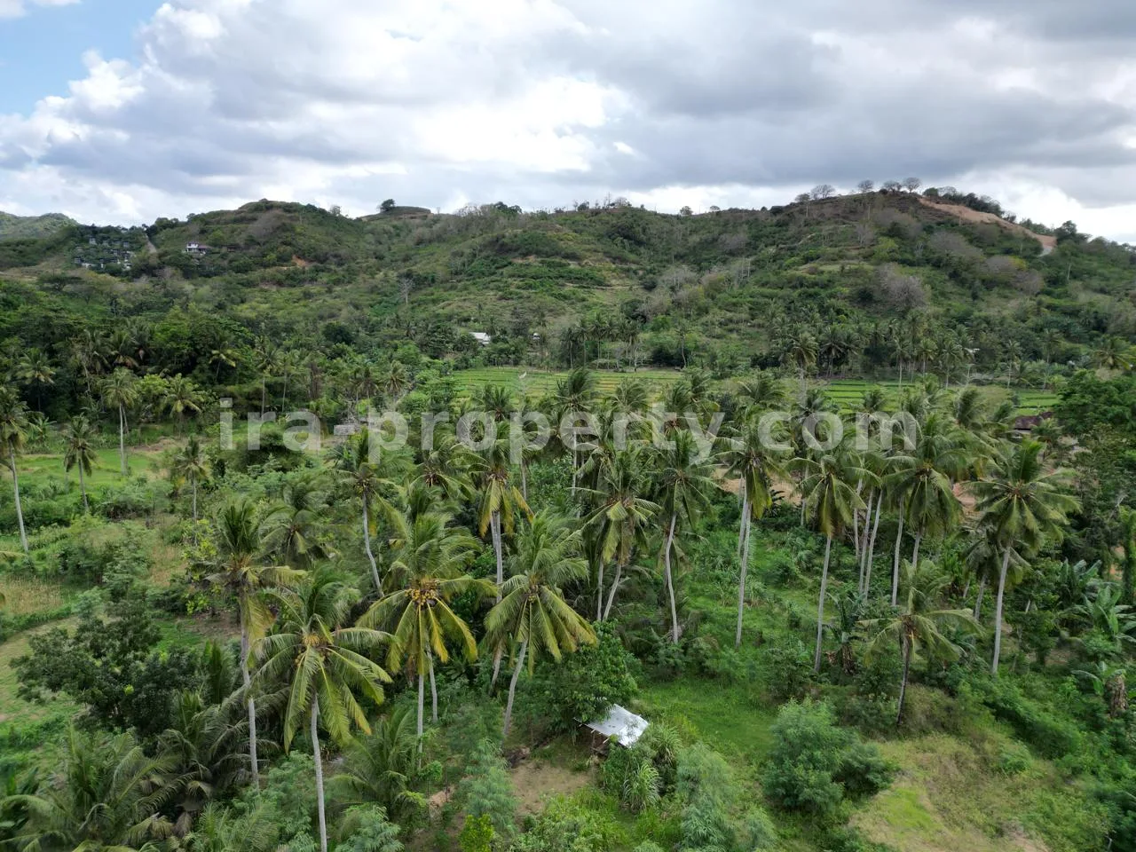 Ocean-View Land Plots in Prabu Areguling near Kuta Mandalika - 537 - 3