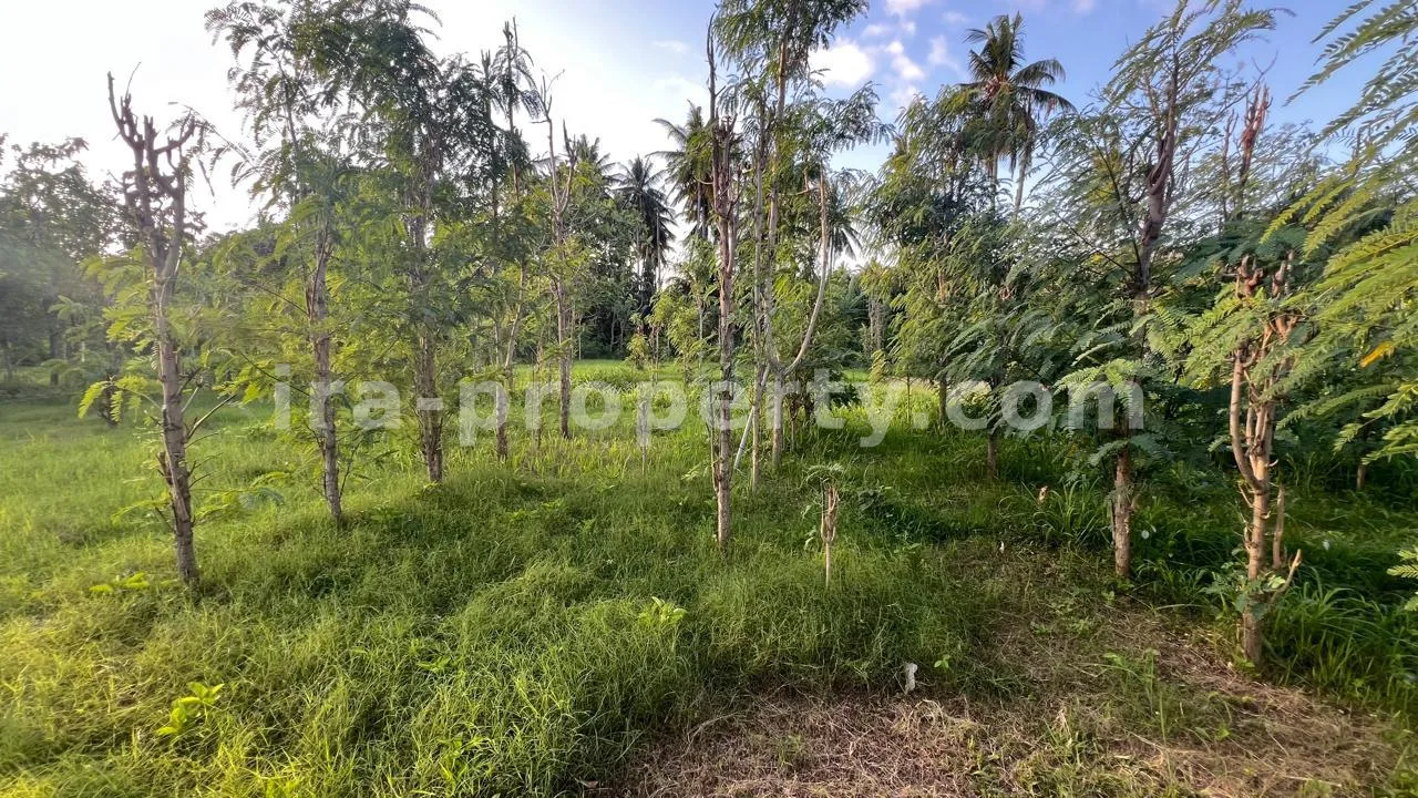 Ocean-View Land Plots in Prabu Areguling near Kuta Mandalika - 537 - 6