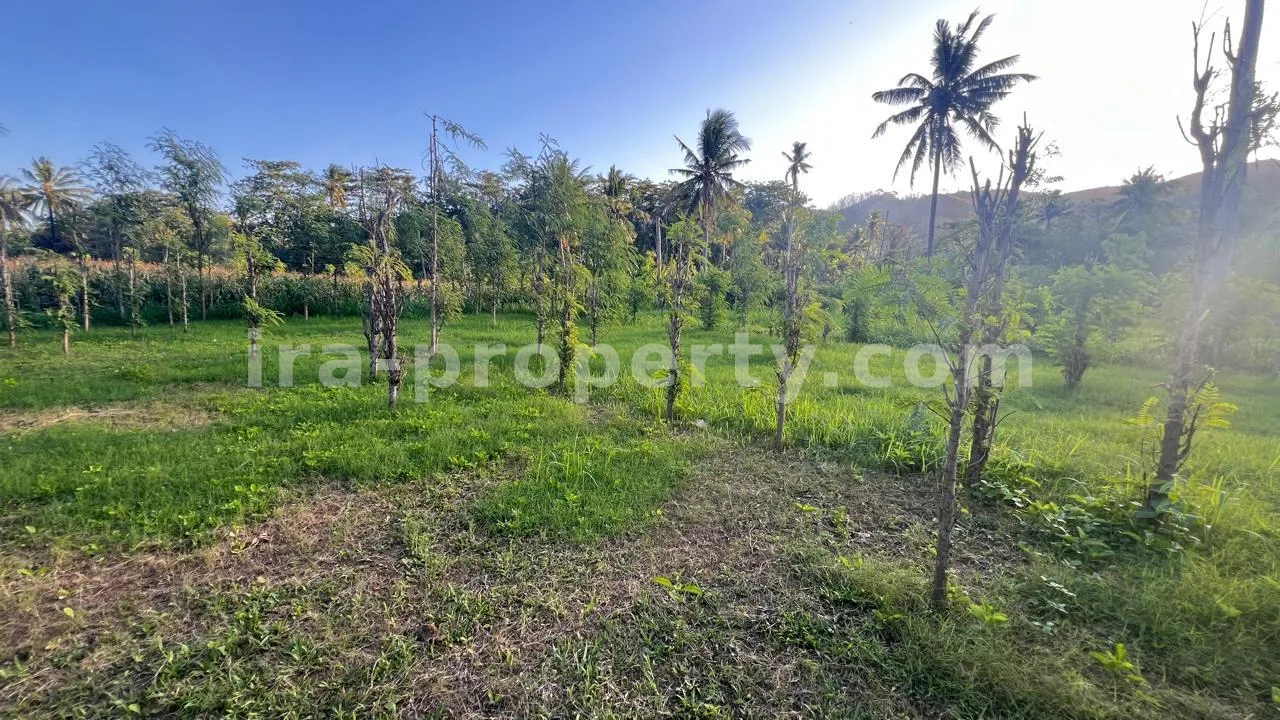 Ocean-View Land Plots in Prabu Areguling near Kuta Mandalika - 537 - 7