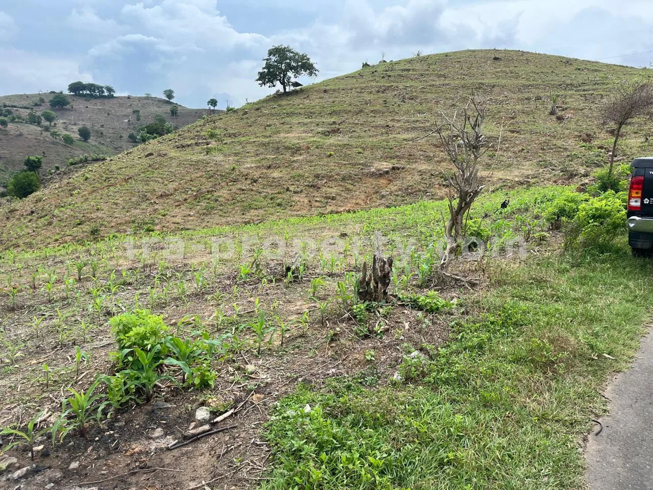 Ocean View Land Near Sundancer, Sekotong – Ideal for Hotel & Villa Development