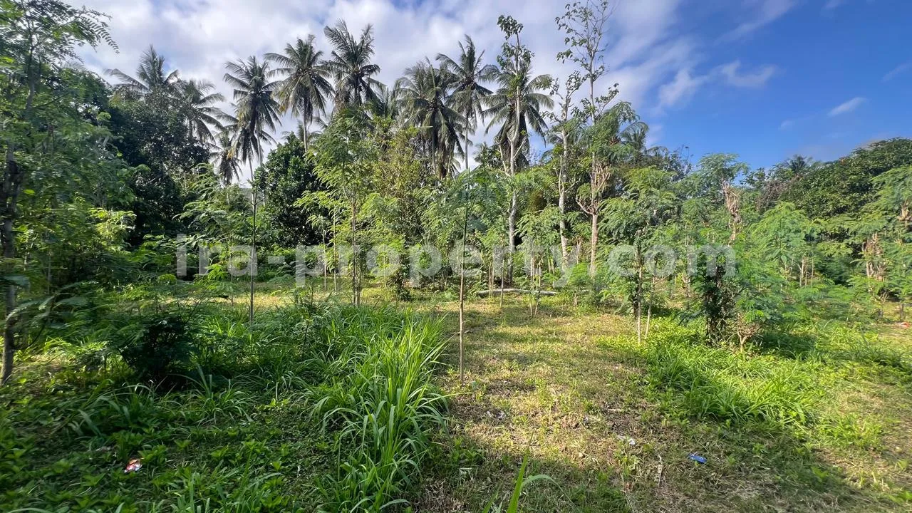 Ocean-View Land Plots in Prabu Areguling near Kuta Mandalika - 537 - 4