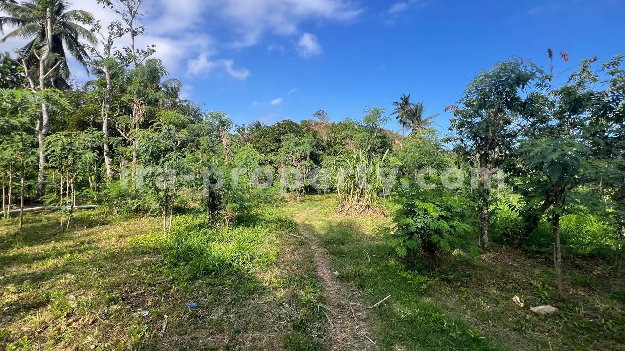 Ocean-View Land Plots in Prabu Areguling near Kuta Mandalika - 537 - 5