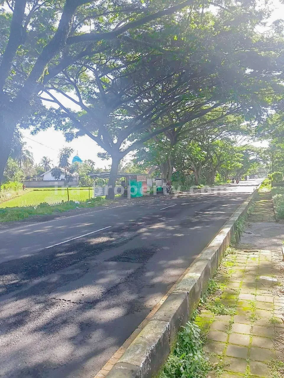 Prime Roadside Land on Kuripan Bypass – Direct Access to Lombok International Airport - 414 - 2