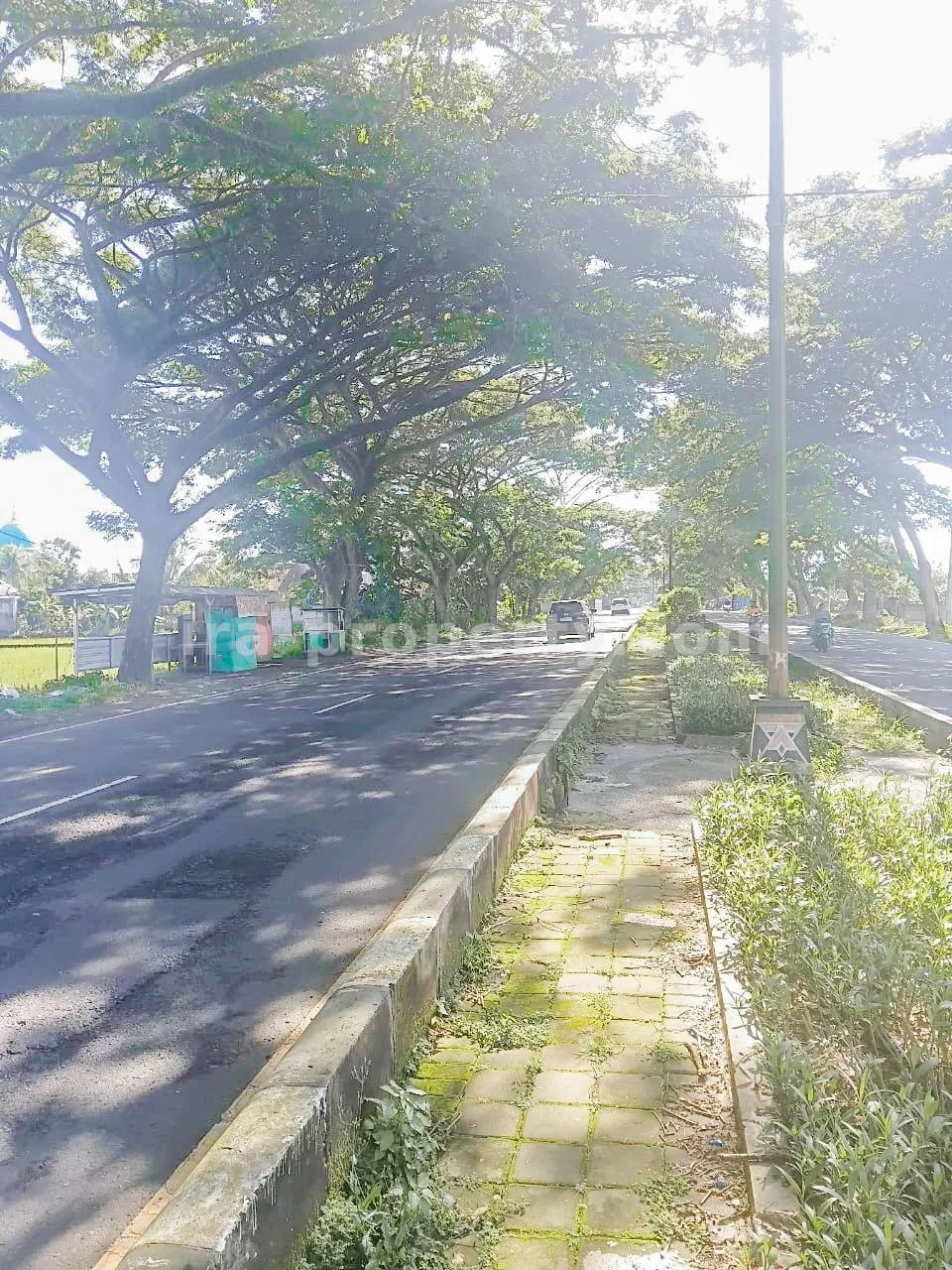 Prime Roadside Land on Kuripan Bypass – Direct Access to Lombok International Airport - 414 - 3