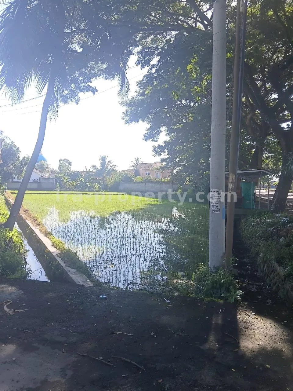 Prime Roadside Land on Kuripan Bypass – Direct Access to Lombok International Airport - 414 - 8