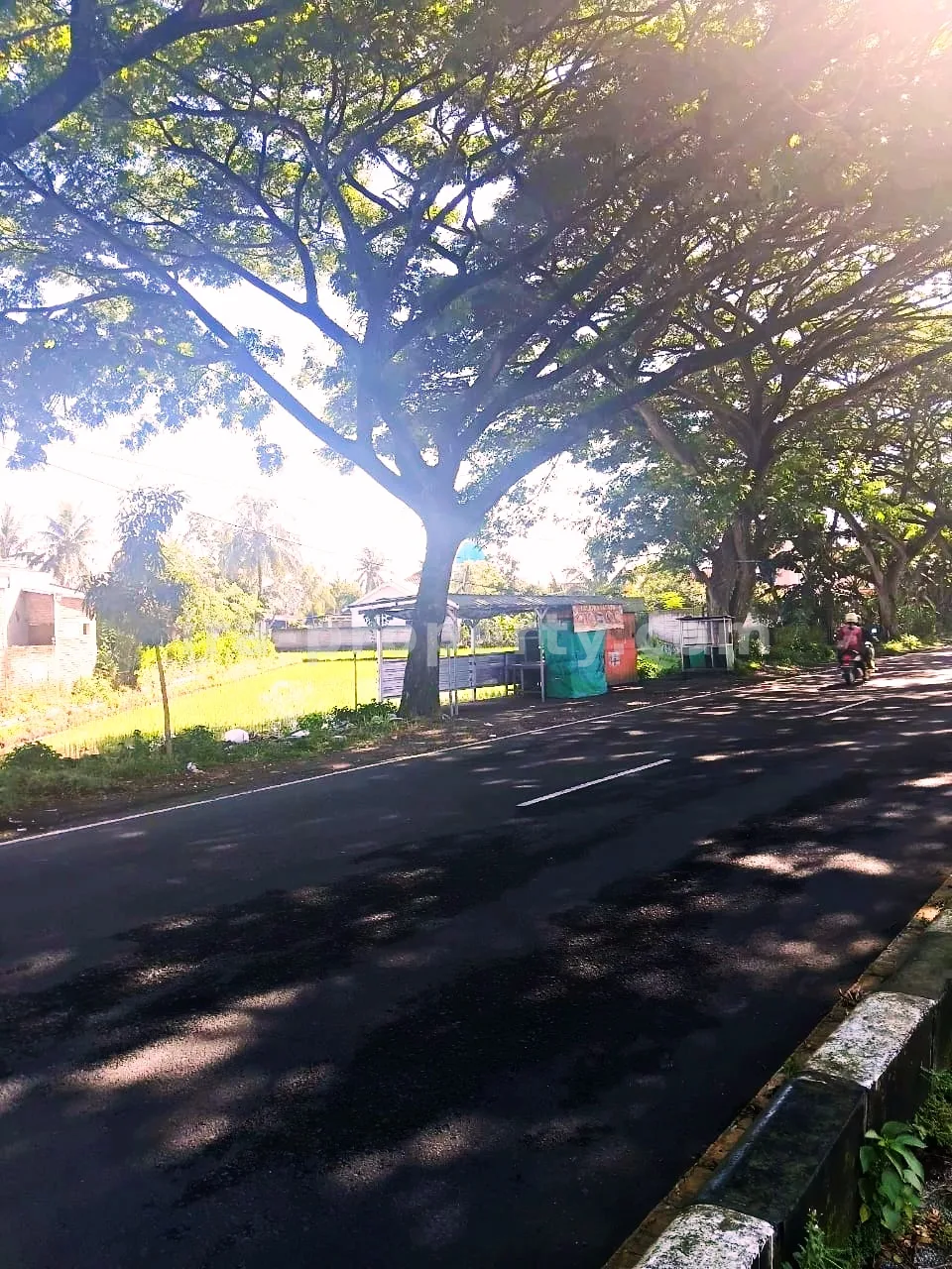 Prime Roadside Land on Kuripan Bypass – Direct Access to Lombok International Airport - 414 - 9