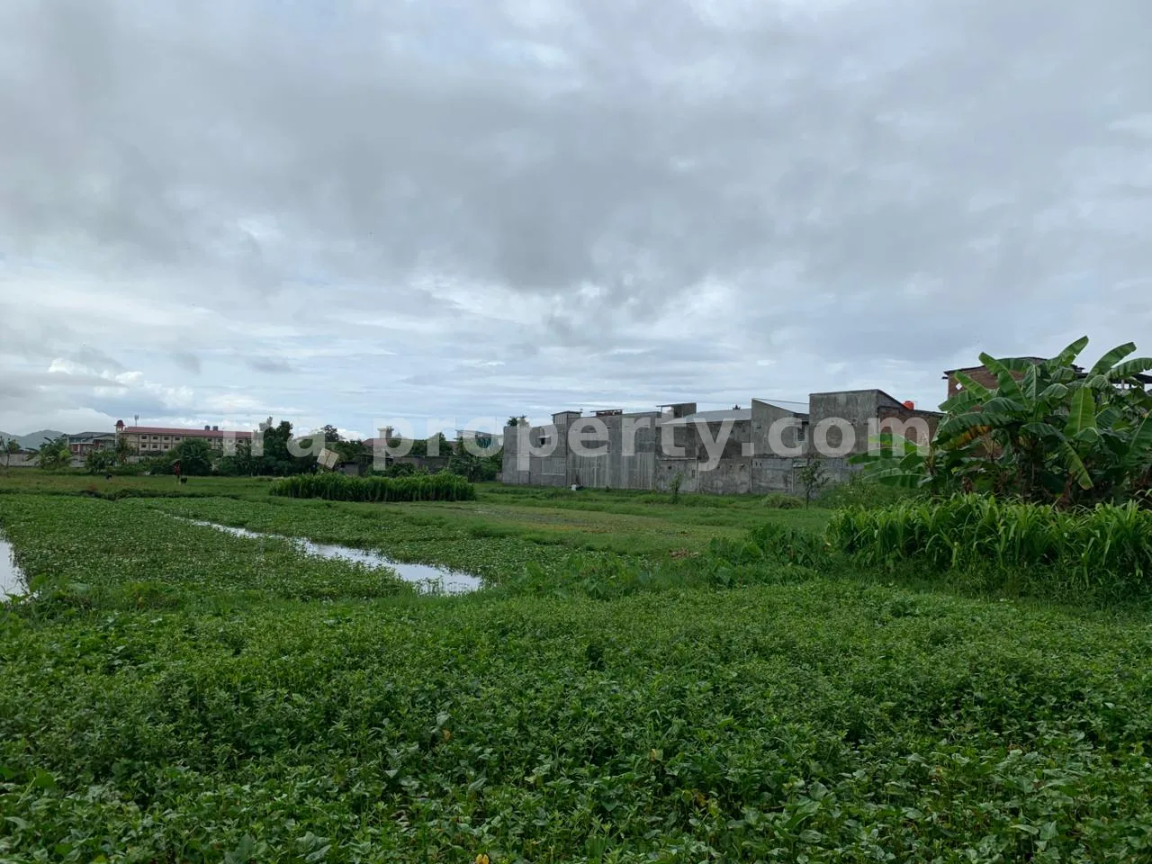 Tanah Strategis Dekat Universitas Muhammadiyah, Mataram - 517 - 7