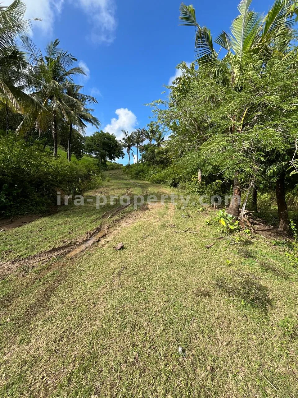 Premium Hill Land with Ocean View – Mawun near Kuta Mandalika - 547 - 11