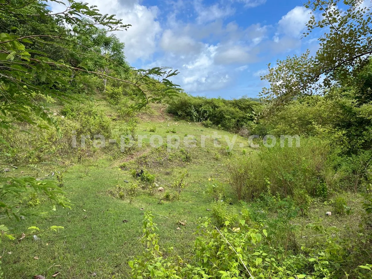 Premium Hill Land with Ocean View – Mawun near Kuta Mandalika - 547 - 2