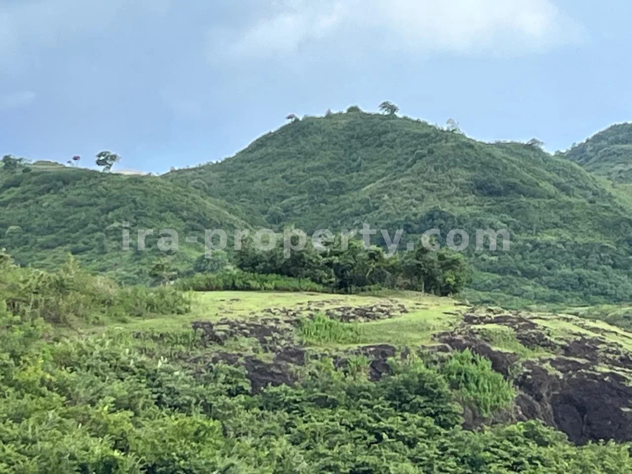 Premium Hill Land with Ocean View – Mawun near Kuta Mandalika - 547 - 6