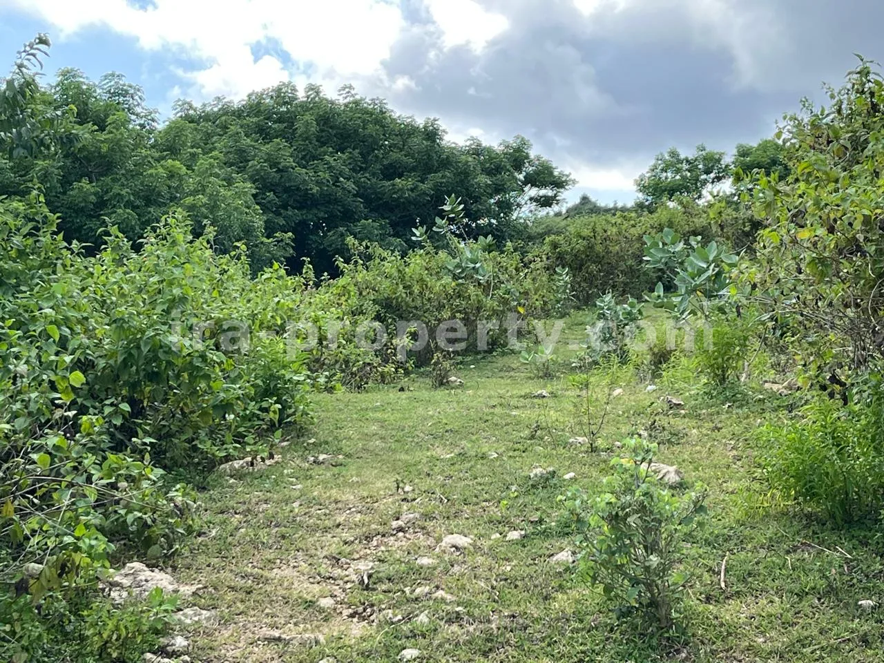 Premium Hill Land with Ocean View – Mawun near Kuta Mandalika - 547 - 8