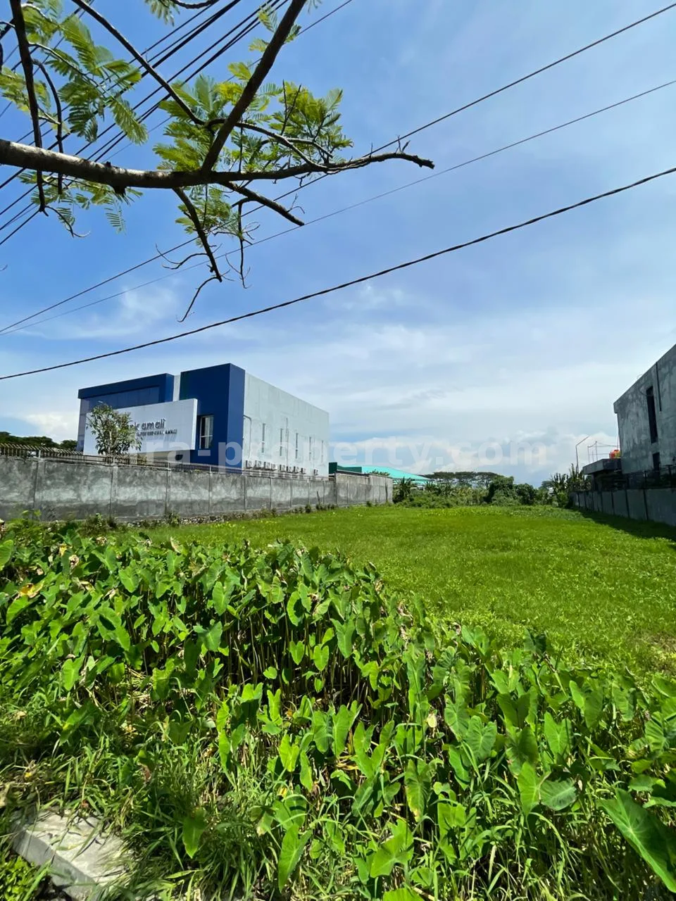 Prime Roadside Land for Sale – Lingkar Selatan, Mataram - 518 - 10