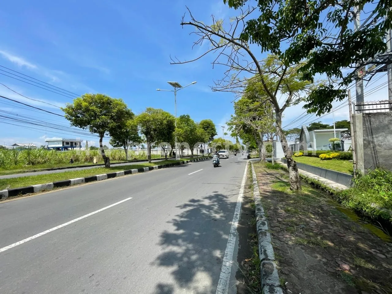 Prime Roadside Land for Sale – Lingkar Selatan, Mataram - 518 - 2