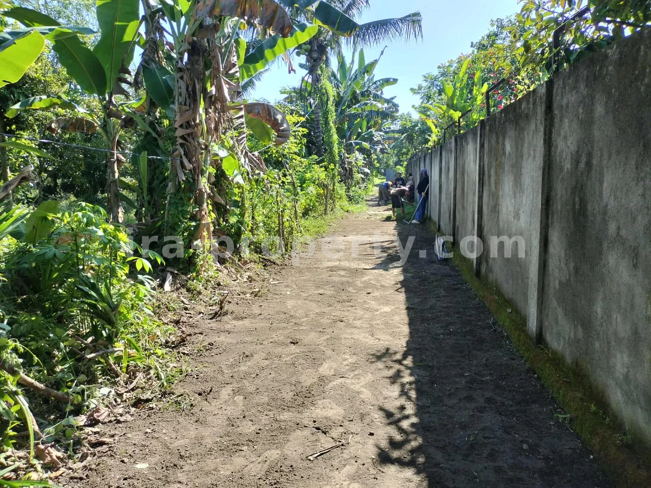 Tanah Kebun Subur dengan Pohon Buah di Lingsar, Lombok Barat - 421 - 2
