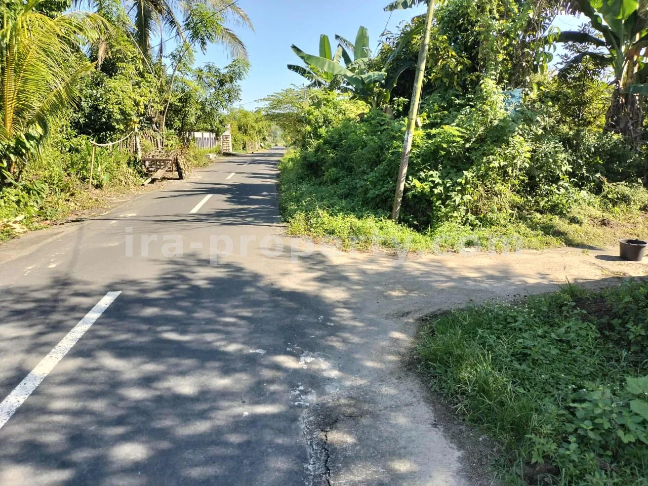 Tanah Kebun Subur dengan Pohon Buah di Lingsar, Lombok Barat - 421 - 6