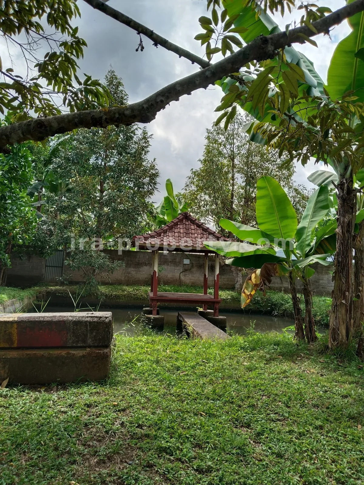 Tanah Kebun Subur dengan Pohon Buah di Lingsar, Lombok Barat - 421 - 8