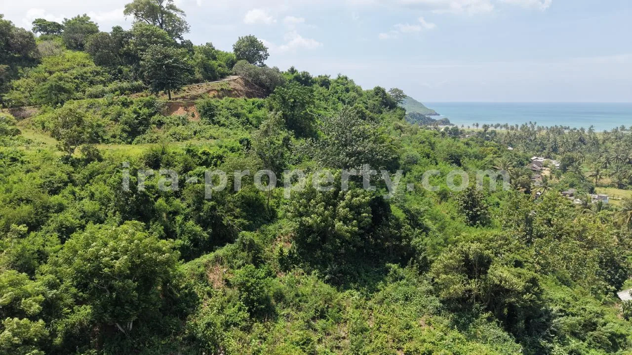 Hilltop Ocean View Land in Areguling – Near Kuta Mandalika - 548 - 1