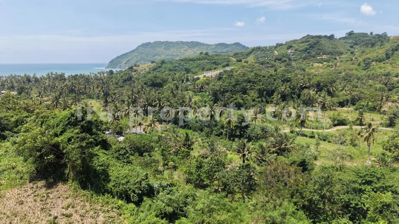 Hilltop Ocean View Land in Areguling – Near Kuta Mandalika - 548 - 5
