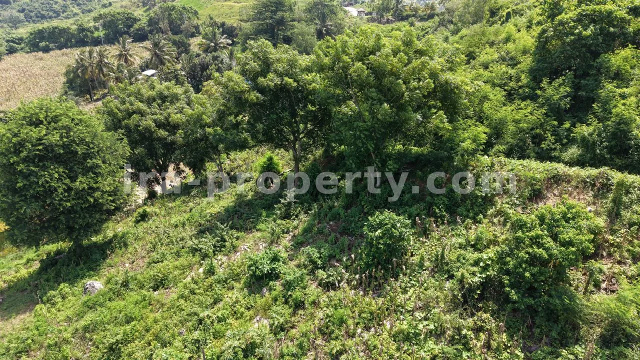Hilltop Ocean View Land in Areguling – Near Kuta Mandalika - 548 - 9