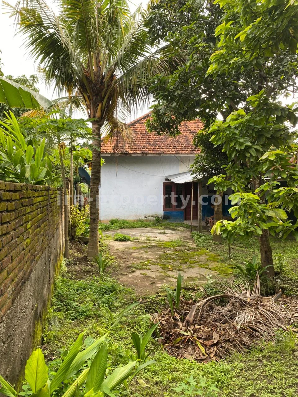 Rumah Dijual di Pejeruk – Ampenan, Mataram - 1011 - 13
