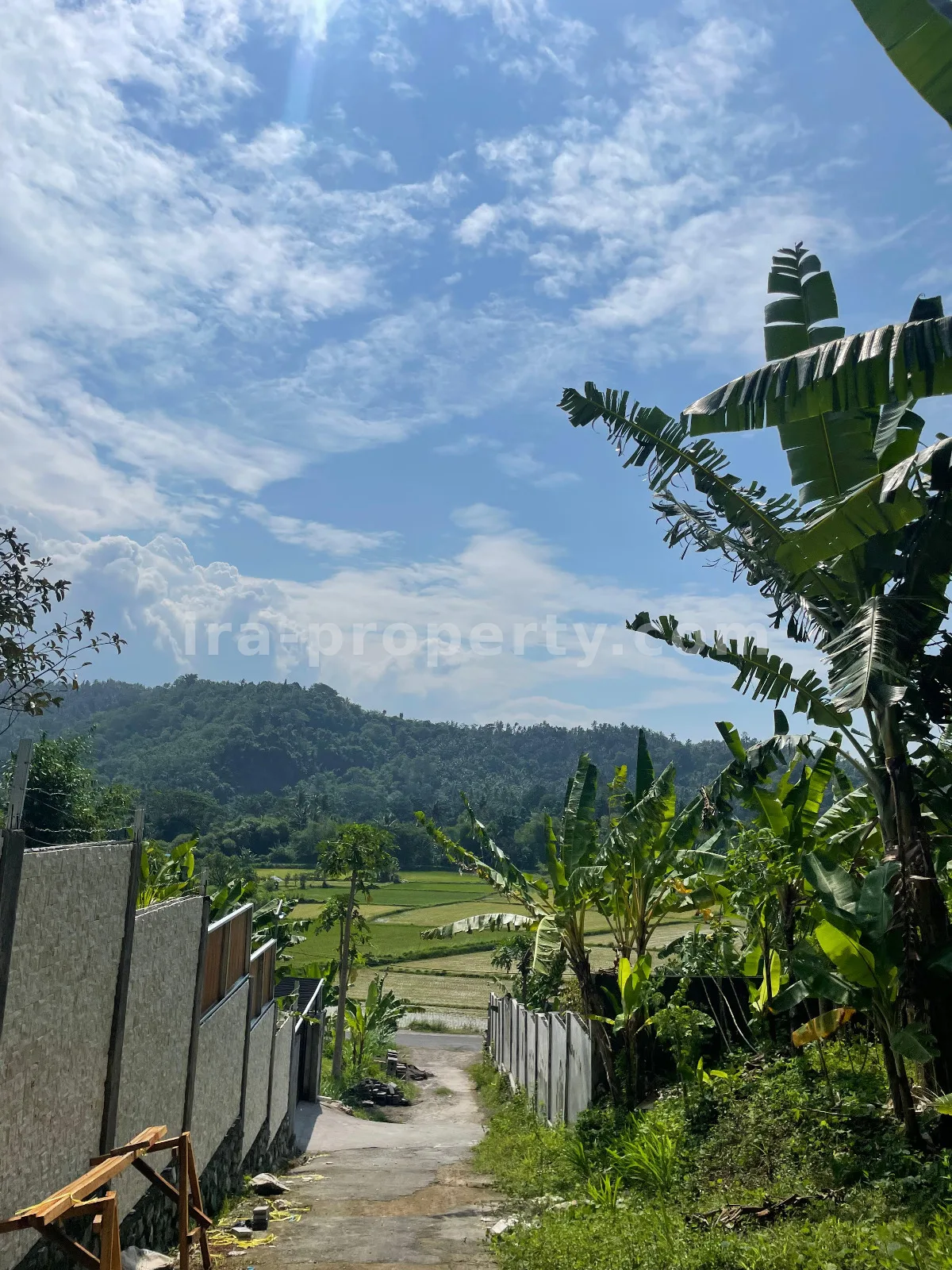 Tanah Pemandangan Sawah di Gunung Sari untuk Villa Pribadi - 420-2 - 13