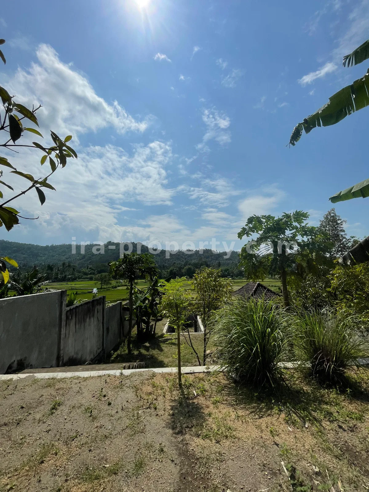 Tanah Pemandangan Sawah di Gunung Sari untuk Villa Pribadi - 420-2 - 14