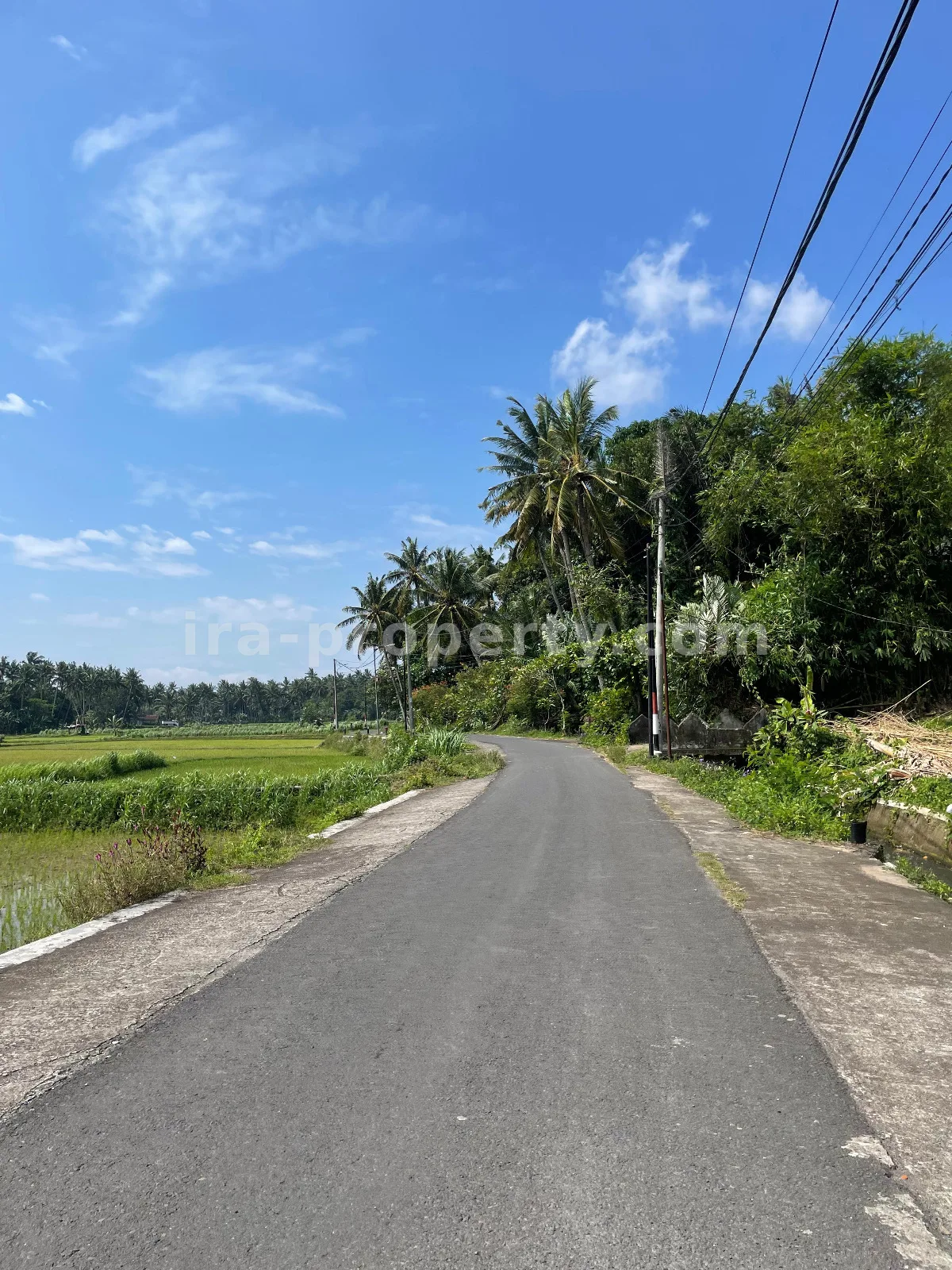 Tanah Pemandangan Sawah di Gunung Sari untuk Villa Pribadi - 420-2 - 15