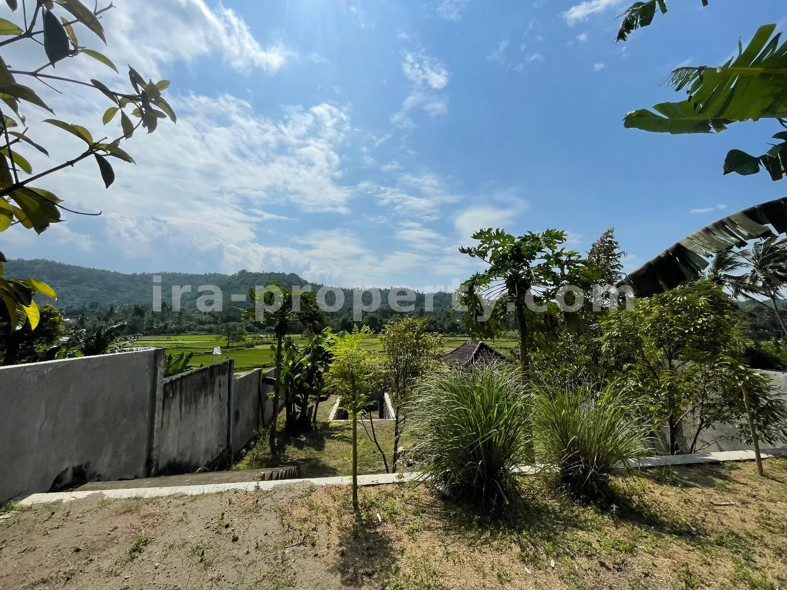 Tanah Pemandangan Sawah di Gunung Sari untuk Villa Pribadi - 420-2 - 4