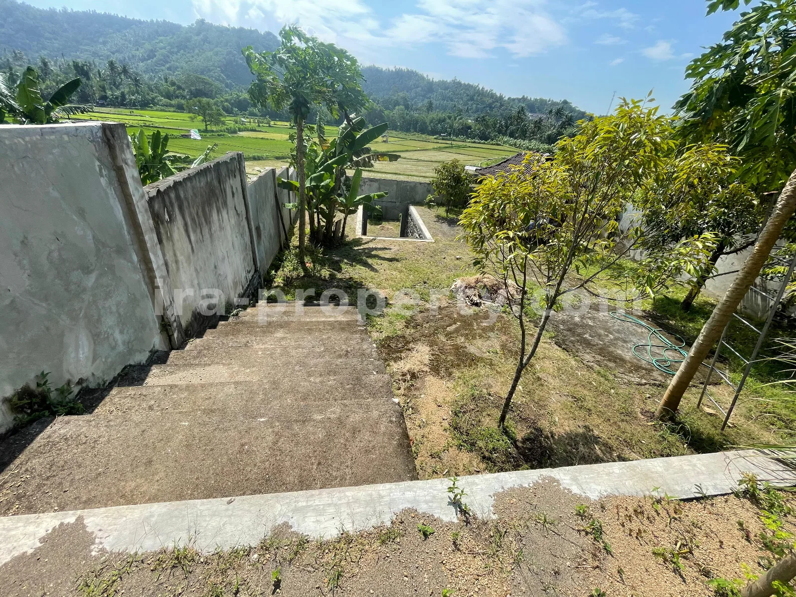 Tanah Pemandangan Sawah di Gunung Sari untuk Villa Pribadi - 420-2 - 7
