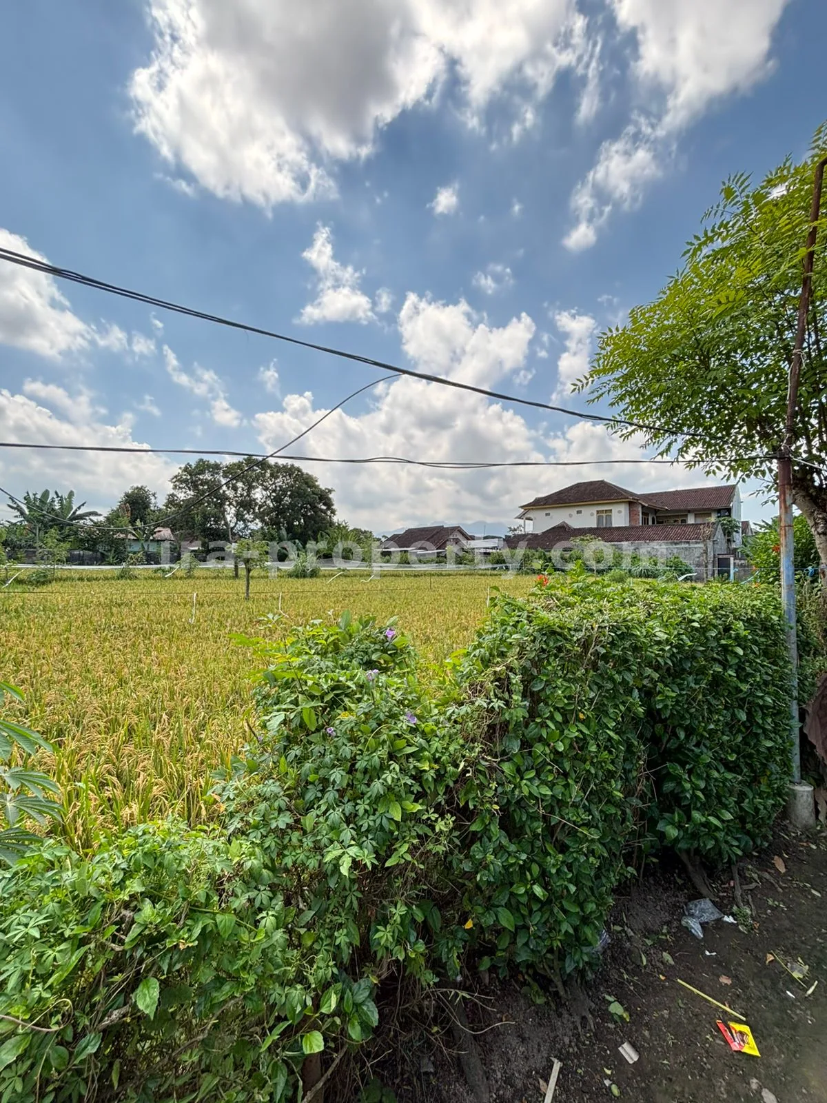 Rumah Strategis Harga Terjangkau di Udayana, Mataram - 1017 - 3