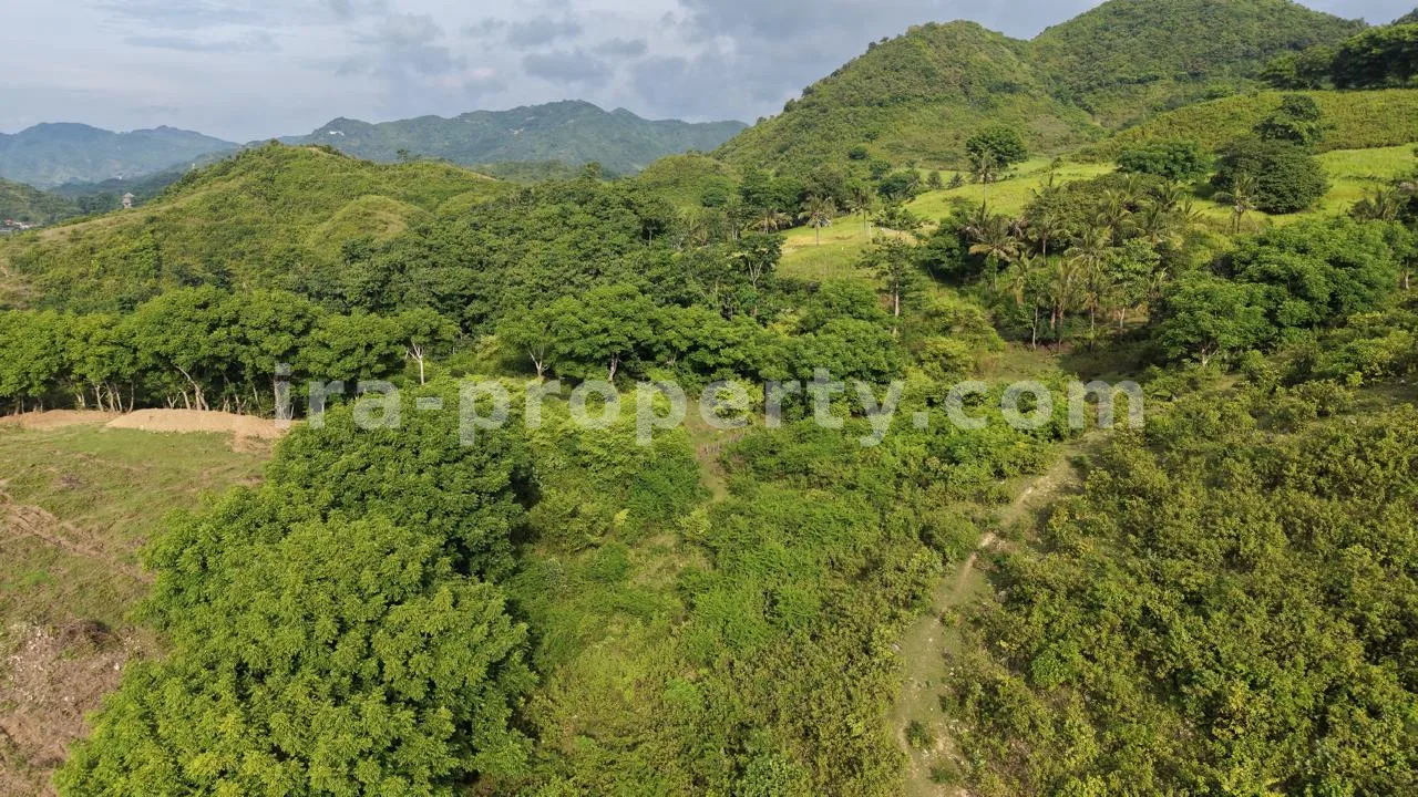 Prime 5-Are Hilltop Plot with Ocean & Ricefield Views – Mawun, Near Kuta Mandalika - 547-2 - 3
