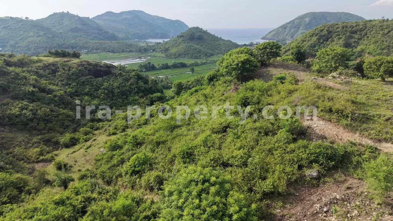 Prime 5-Are Hilltop Plot with Ocean & Ricefield Views – Mawun, Near Kuta Mandalika - 547-2 - 5