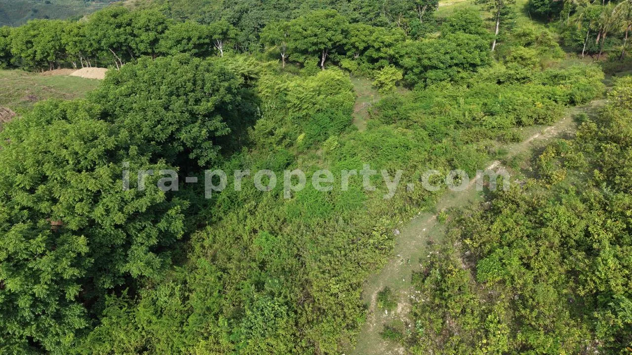 Prime 5-Are Hilltop Plot with Ocean & Ricefield Views – Mawun, Near Kuta Mandalika - 547-2 - 6