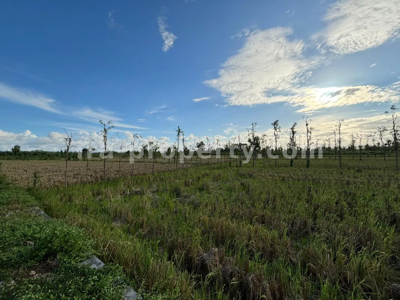 Massive 7-Hectare Strategic Land Holding – Direct Hotmix Road Access Near Lombok International Airport