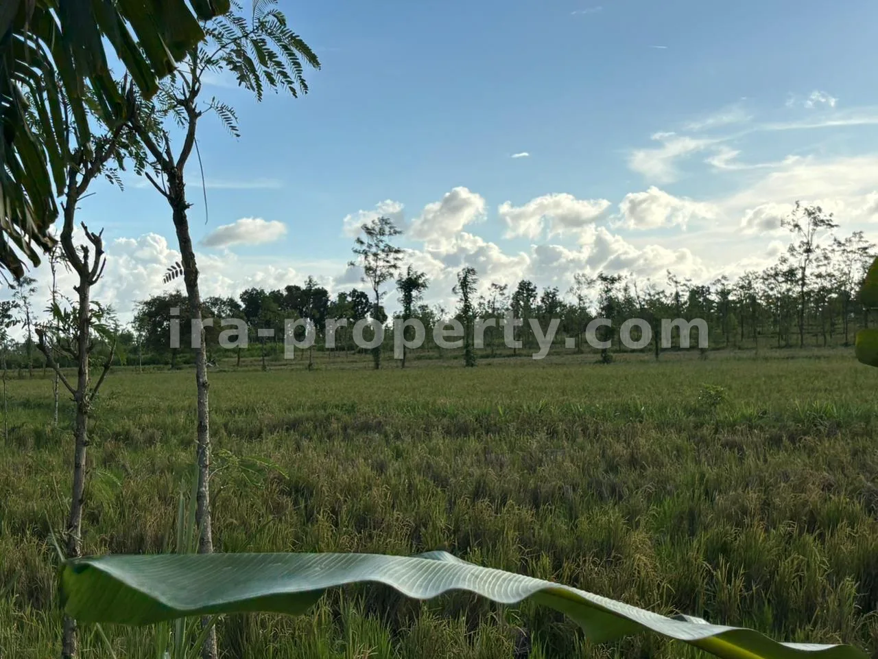 Massive 7-Hectare Strategic Land Holding – Direct Hotmix Road Access Near Lombok International Airport - 94-2 - 10