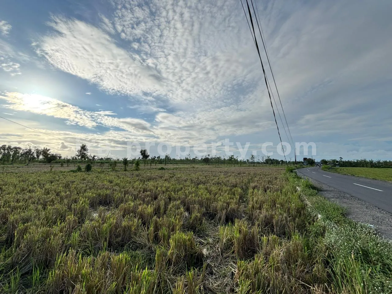 Massive 7-Hectare Strategic Land Holding – Direct Hotmix Road Access Near Lombok International Airport - 94-2 - 2