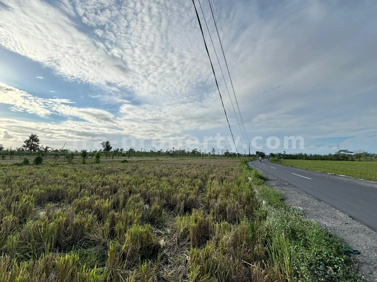 Massive 7-Hectare Strategic Land Holding – Direct Hotmix Road Access Near Lombok International Airport - 94-2 - 3