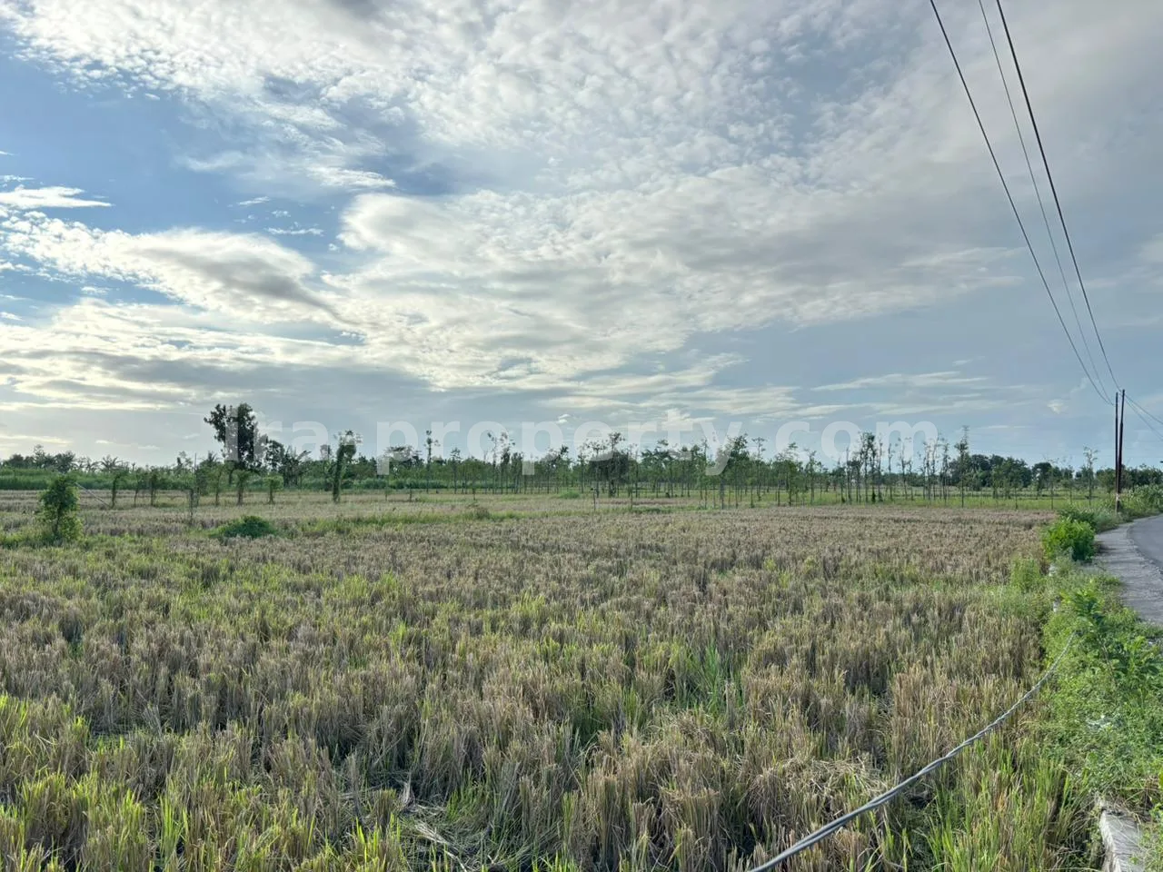 Massive 7-Hectare Strategic Land Holding – Direct Hotmix Road Access Near Lombok International Airport - 94-2 - 4