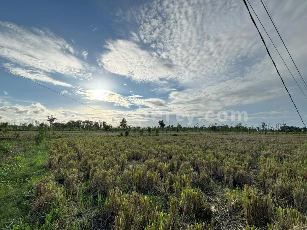 Massive 7-Hectare Strategic Land Holding – Direct Hotmix Road Access Near Lombok International Airport - 94-2 - 5