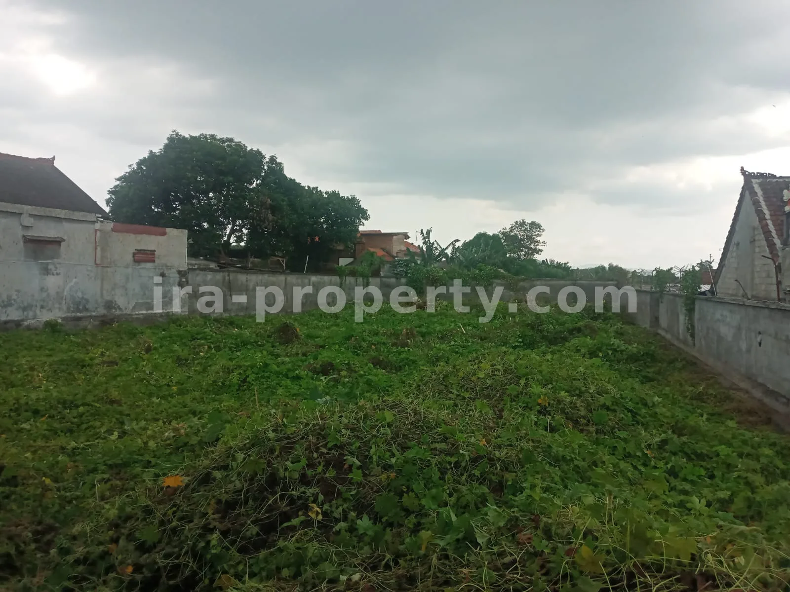 Premium Warehouse Complex for Rent – Strategic Distribution Hub in Central Mataram - 80 - 5