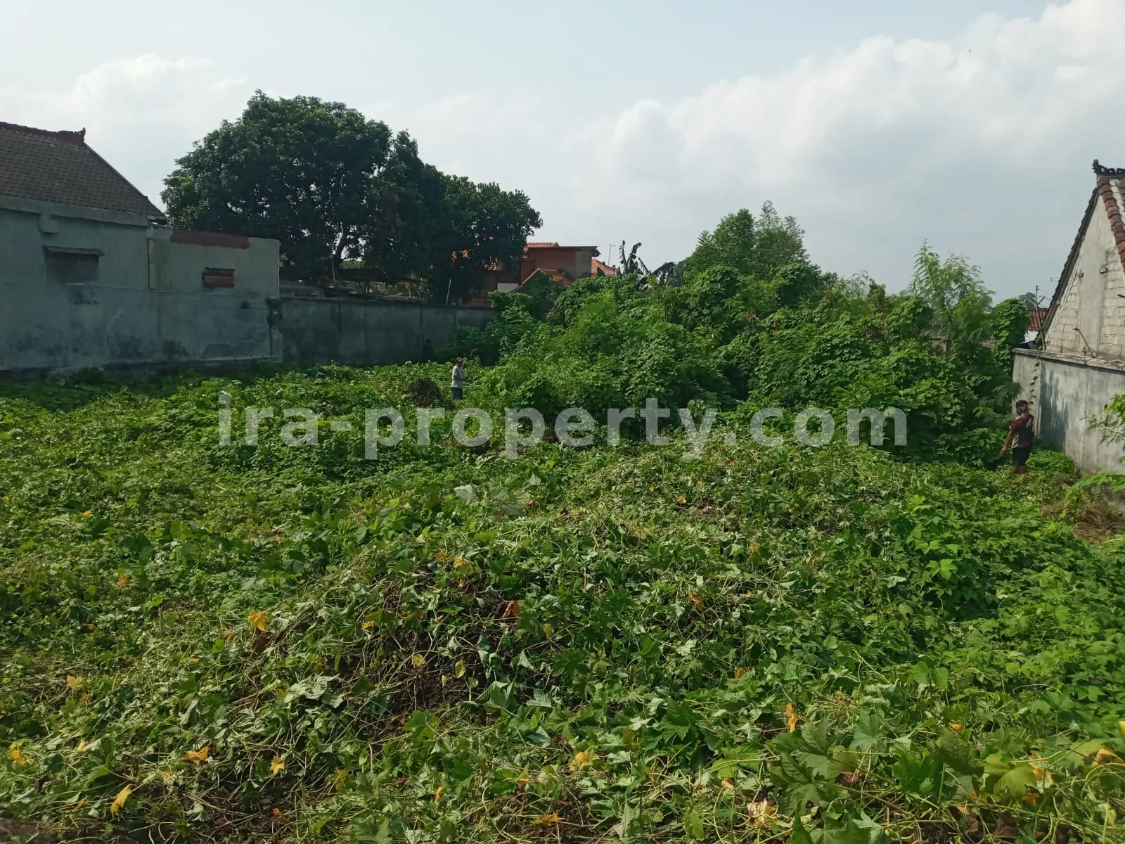 Premium Warehouse Complex for Rent – Strategic Distribution Hub in Central Mataram - 80 - 6