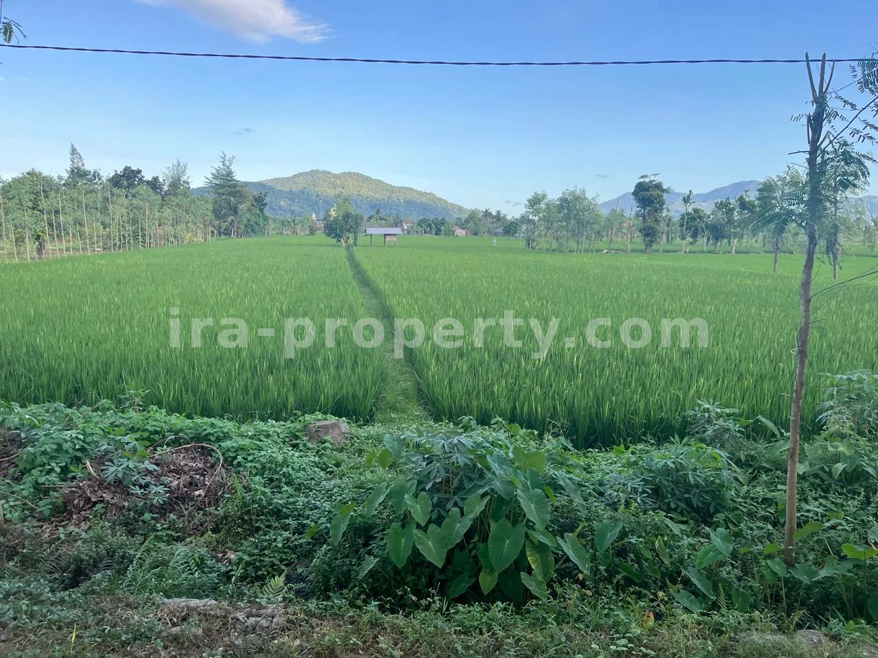Tanah Komersial & Industri 1,05-Hektar – Depan Bypass Gerung-Kuripan, Lombok Barat