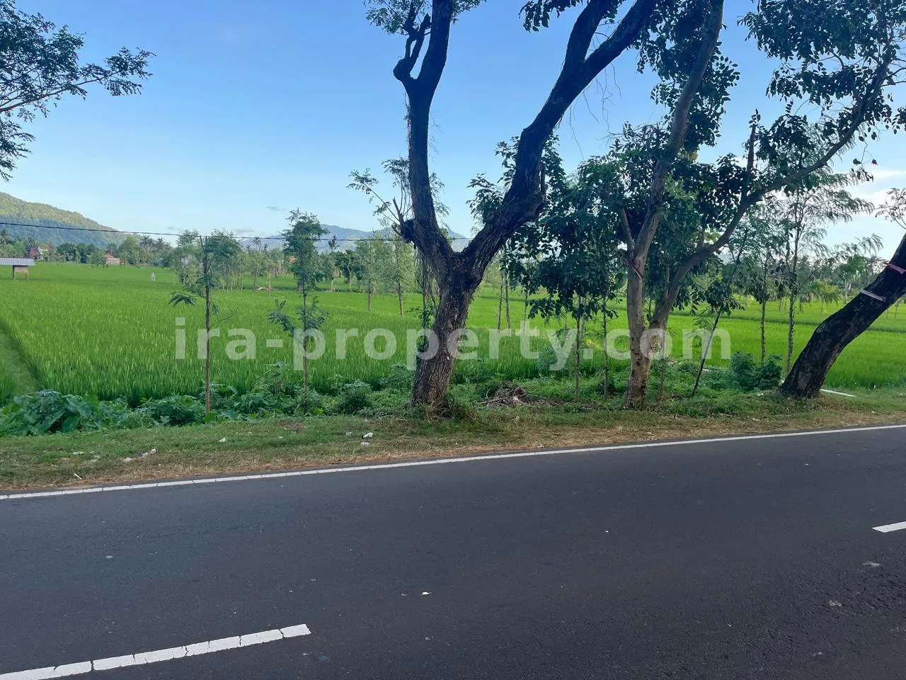 Tanah Komersial & Industri 1,05-Hektar – Depan Bypass Gerung-Kuripan, Lombok Barat - 422-2 - 6