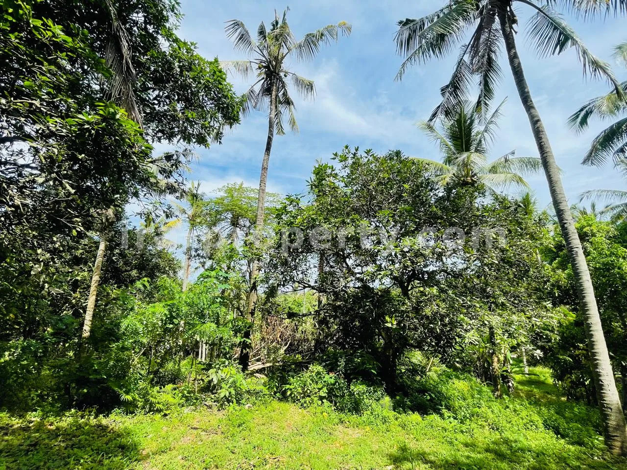 Tanah Strategis dengan Pemandangan Laut di Melase, Senggigi - 398-2 - 5