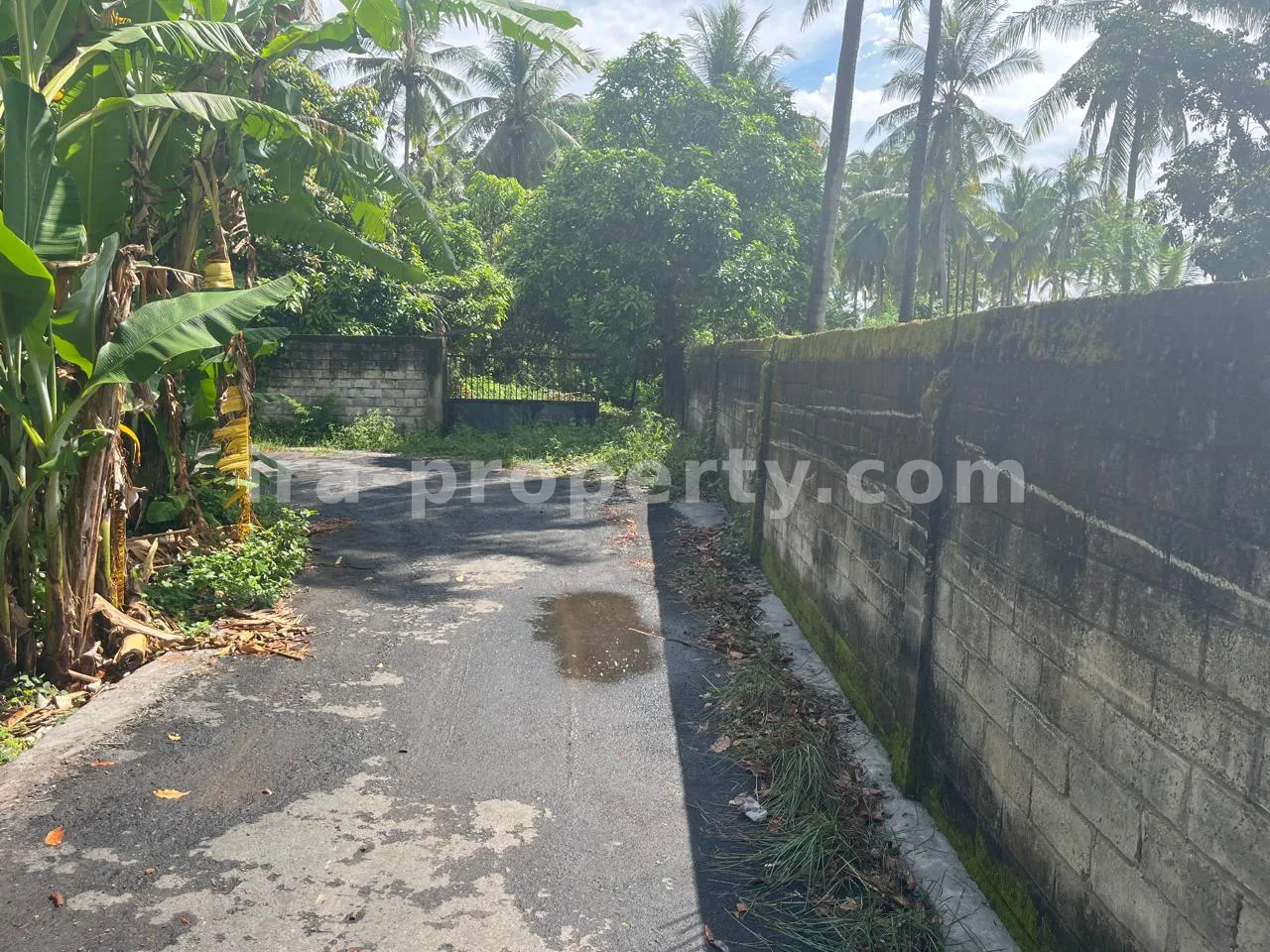 Secure 1,000 m² Villa Plot Near Kuta Mandalika – Fully Fenced & Ready for Development - 554 - 2
