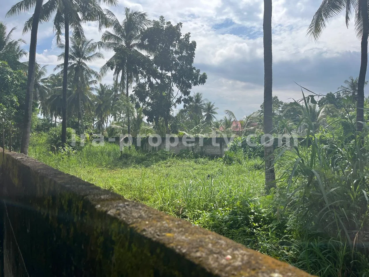 Secure 1,000 m² Villa Plot Near Kuta Mandalika – Fully Fenced & Ready for Development - 554 - 3