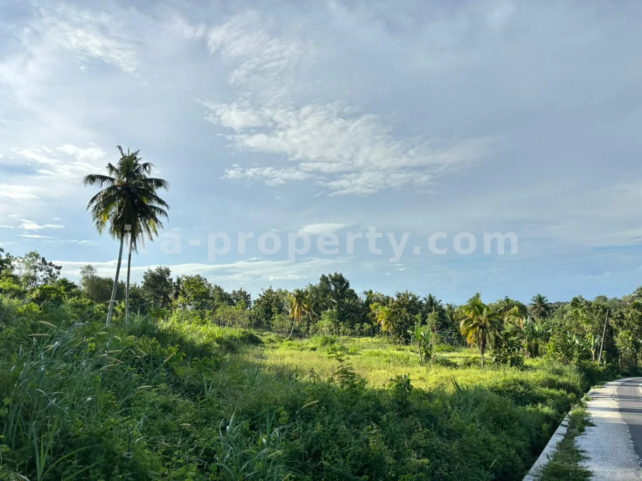 Strategic 50-Are Roadside Plot in Pengembur – Minutes from Lombok Airport & Southern Beaches - 95-2 - 2
